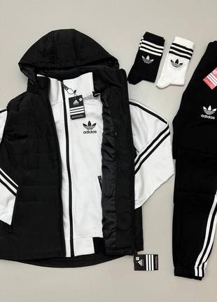 Зима жилет кофта штани adidas біло-чорний