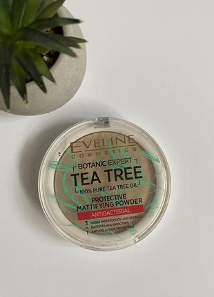 Eveline cosmetics botanic expert tea tree protective mattifying antibacterial powder тон 02 beige матувальна антибактеріальна пудра для обличчя