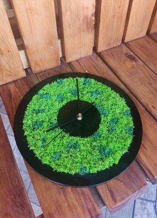 Годинник з стабілізованим мохом  - 30 см діаметр | тихий хід4 фото