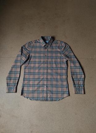 Чоловіча сорочка burberry