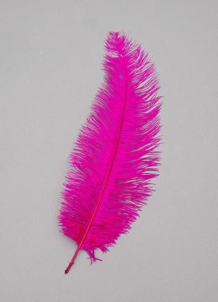 Страусиное перо 25-30 см ярко-фиолетовый