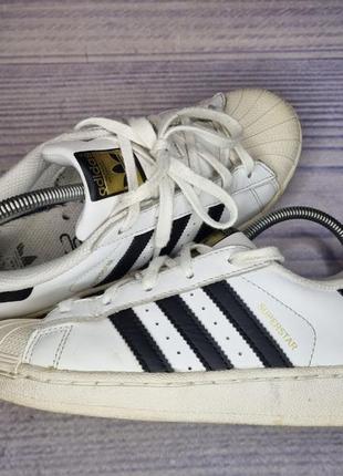 Кеды adidas superstar