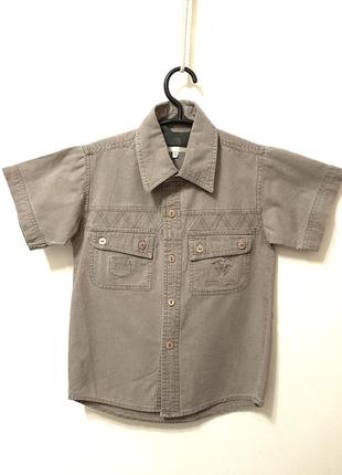 Костюм сорочка + шорти на хлопчика 6-8років бежевий літній комплект короткі рукави бавовна бренд free hawk