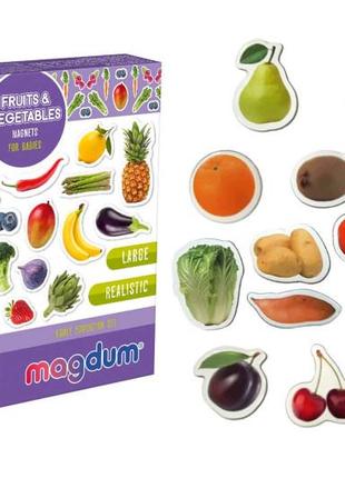Набор магнитов (анг.) "фрукты и овощи" ml4031-15 en1 фото