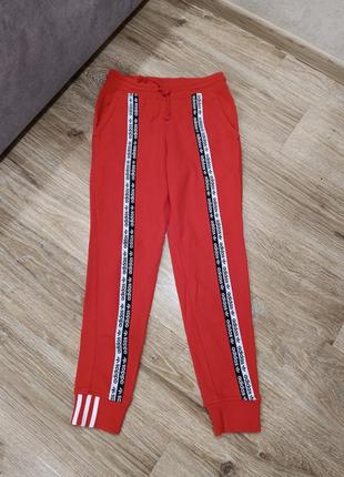 Спортивные штаны zappos adidas