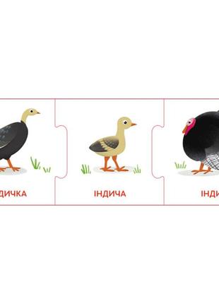 Логические цепочки "малыши животные и их семьи" 1782001 на украинском языке3 фото
