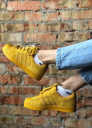 Шикарные женские кроссовки adidas superstar горчичные5 фото