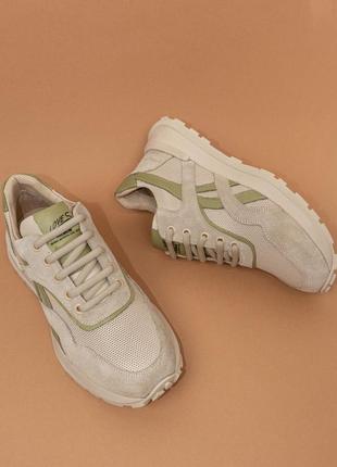 Жіночі кросівки шкіряні сірі 36-40 кроссовки женские кожаные phany турция