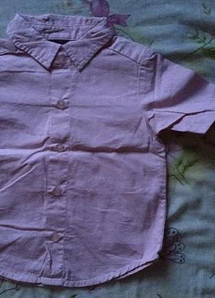 Сорочка next для хлопчика з коротким рукавом