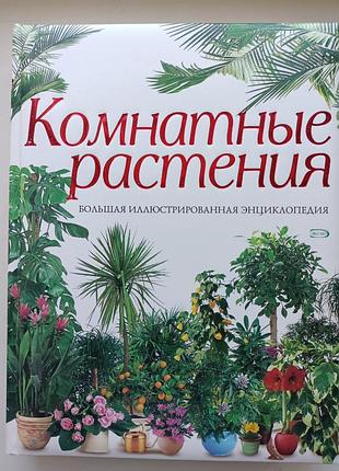 Комнатные растения