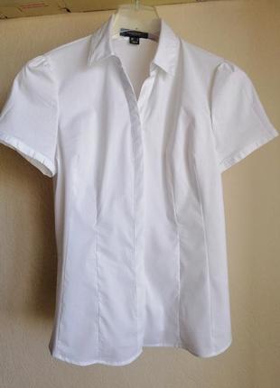 Блузка белая школьная1 фото