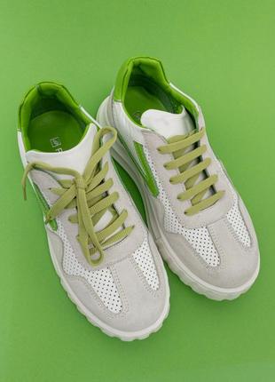 Жіночі кросівки шкіряні сірі зелені 36-40 кроссовки женские кожаные phany турция6 фото