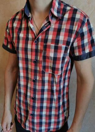 Теніска чоловіча у клітинку