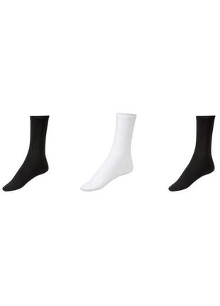 Комплект із 3х пар шкарпеток esmara