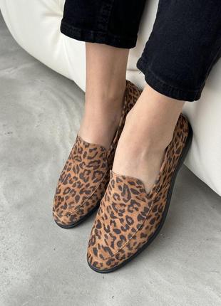 Лофер замш2 фото