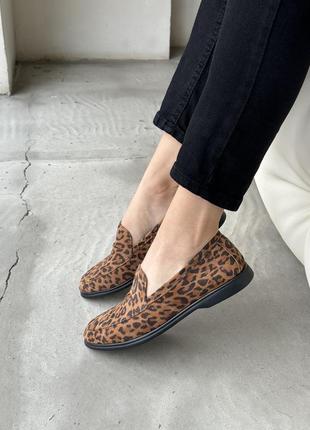 Лофер замш5 фото