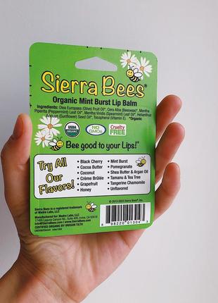 Sierra bees, органічні бальзами для губ зі смаком м’яти, 4 шт. в упаковці по 4,25 г, iherb, айхерб, сієрра, набір2 фото