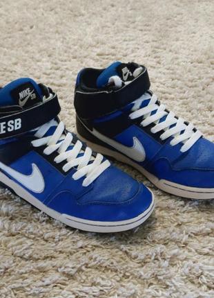 Кросівки nike sb