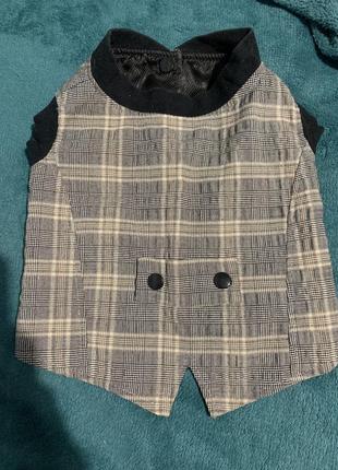 Жилетка для собаки