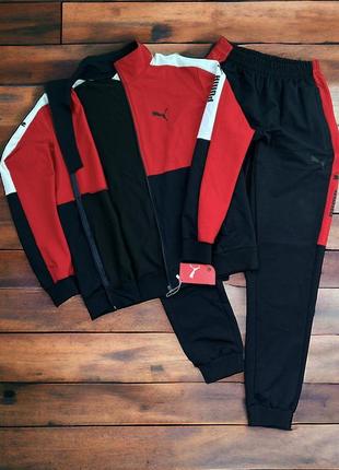 Чоловічий спортивний костюм puma