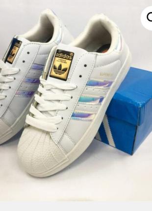 Кросівки adidas superstar