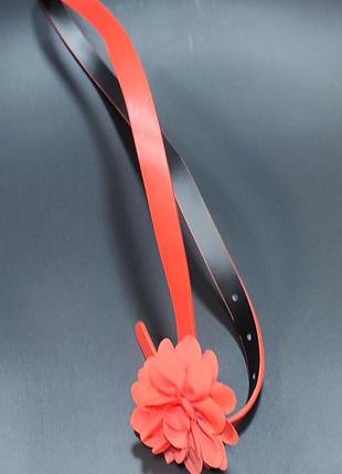 Кораловий жіночий ремінець