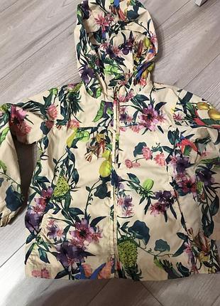 Ветровка mango 5-6 лет