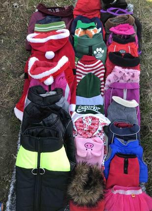 Одяг для собак. куртки накидки пайти