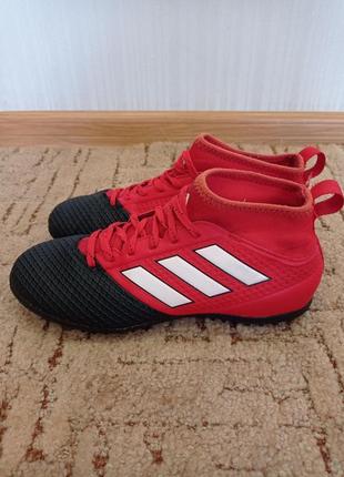 Сороконожки adidas1 фото