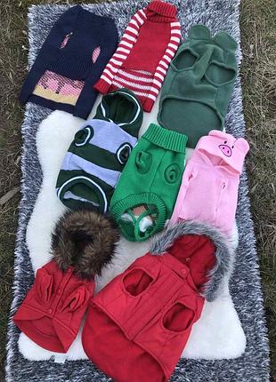 Кофти пайти комбінезони куртки собакам . одяг улюбленцям