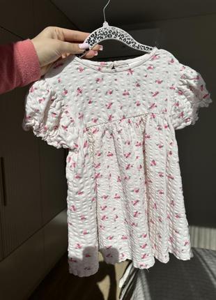 Сукня zara