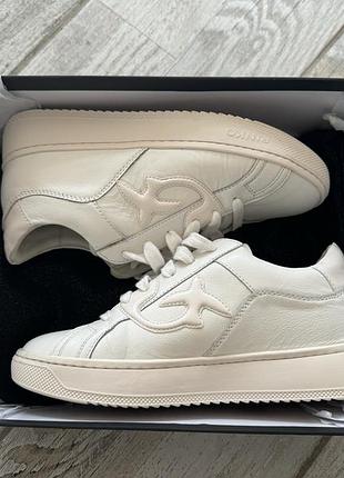 Кеды pinko