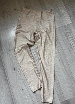 Лосіни висока посадка