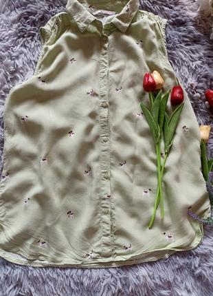 Фісташкова 💚 блуза в принт песиків 🐕2 фото