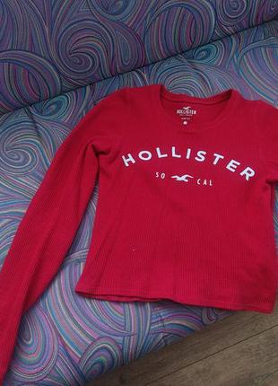 Жіночий світшот hollister california
