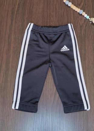 Спортивні штани adidas