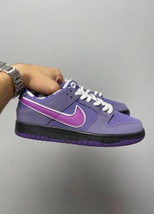 Nike sb dunk low concepts purple lobster кроссовки фиолетовые кожаные