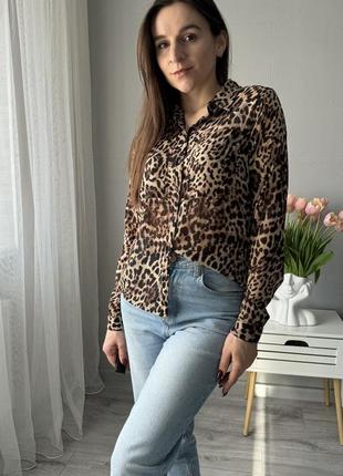 Сорочка леопардовий принт єдиний розмір s/m3 фото