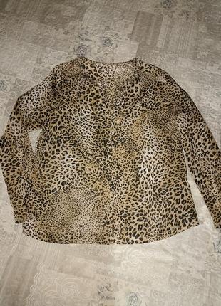 Блуза в леопардовий принт 599
