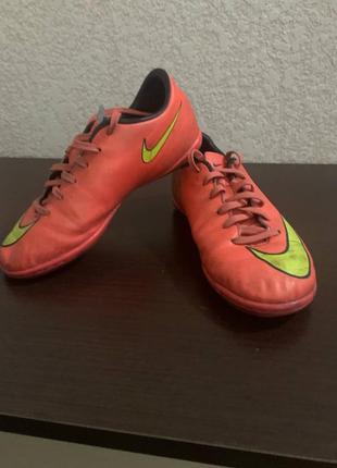 Сороконожки