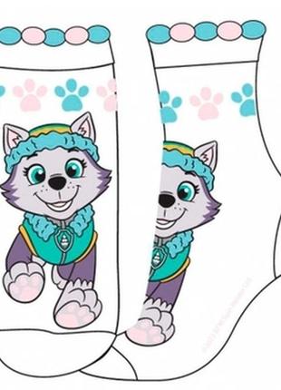 Дитячі шкарпетки еверест щенячий патруль paw patrol р.31/34