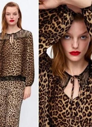 Zara  нова блуза з мережевом