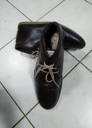 Ботинки мужские penguin.