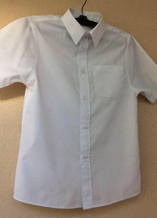 Брендовая белая рубашка с коротким рукавом