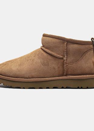 Ugg classic mini ii boots chestnu