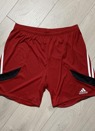 Шорти adidas1 фото