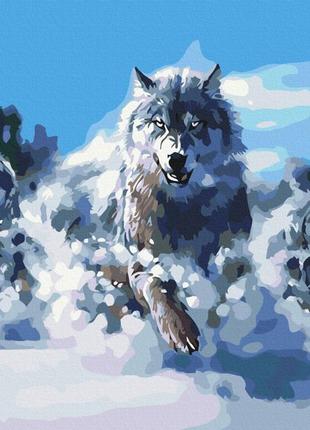 Картина по номерам 48х60 на деревянном подрамнике "волки в движении" bs52218l