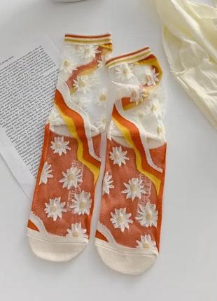 Тренд прозорі шкарпетки квіти сітка візерунки6 фото
