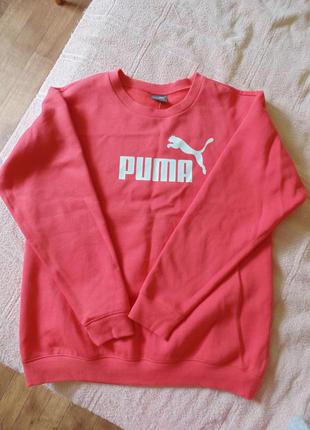 Толстовка puma4 фото