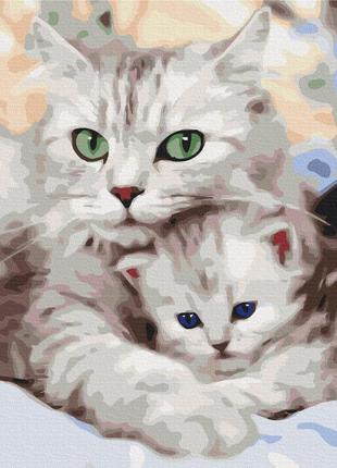Картина за номерами 48х60 на дерев'яному підрамнику "мама кішка з кошеням" bs52689l